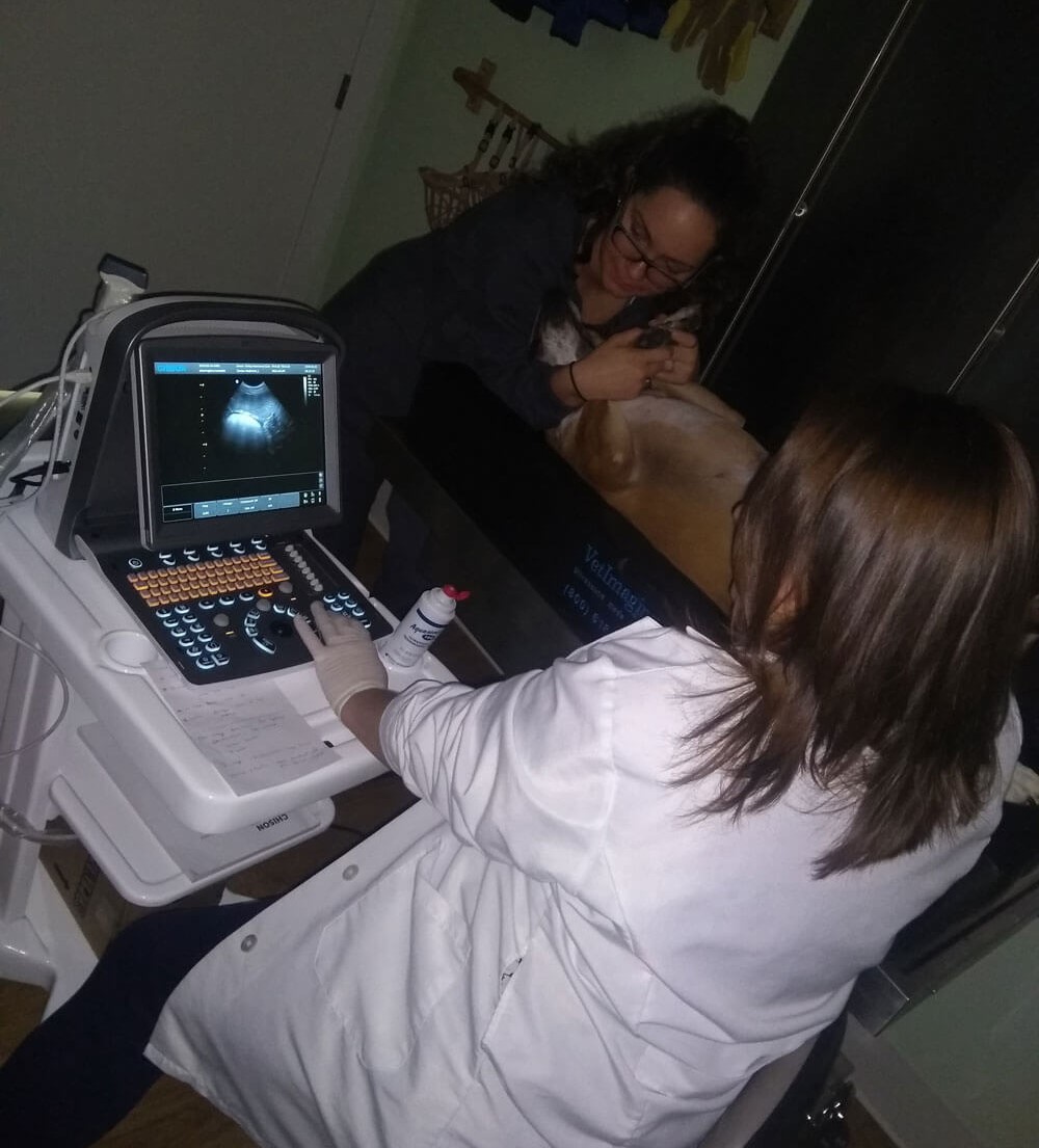 Ultrasound