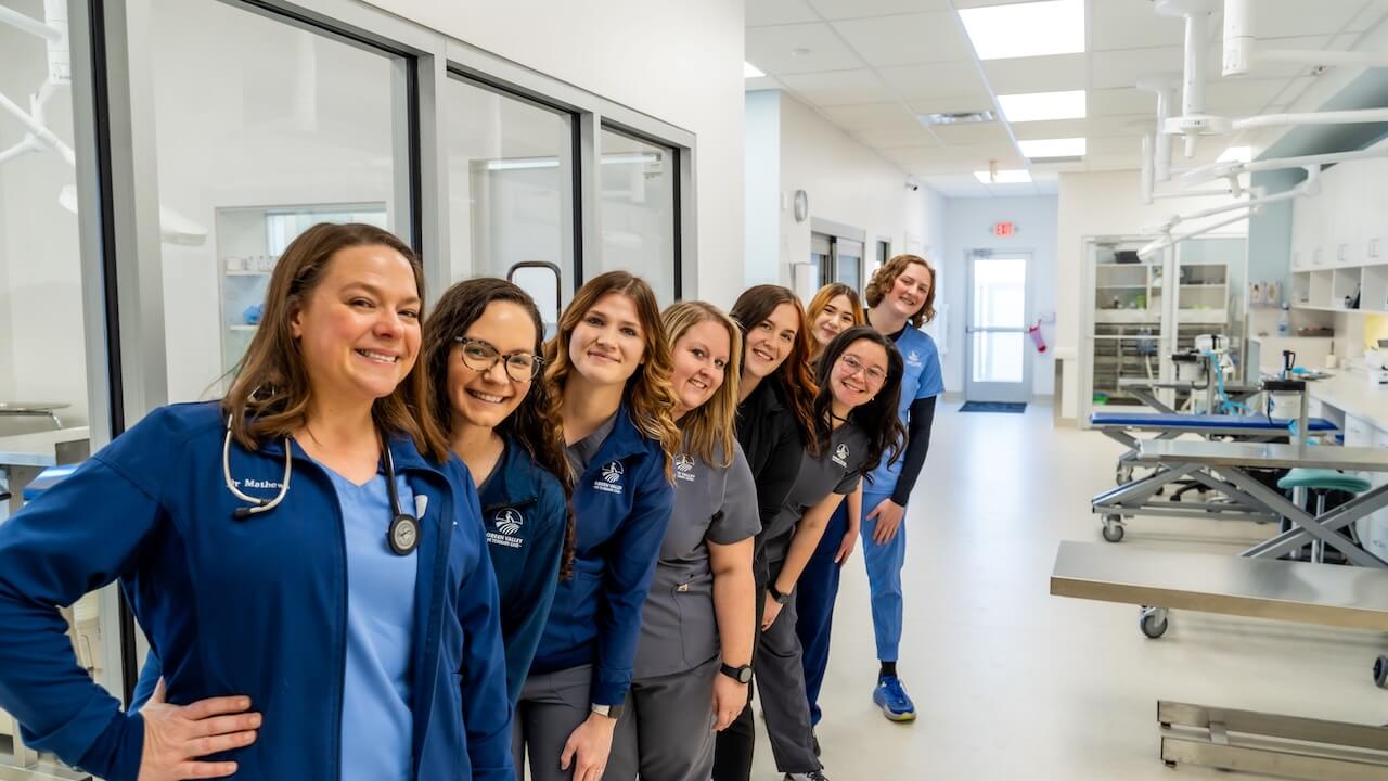 veterinarian near me