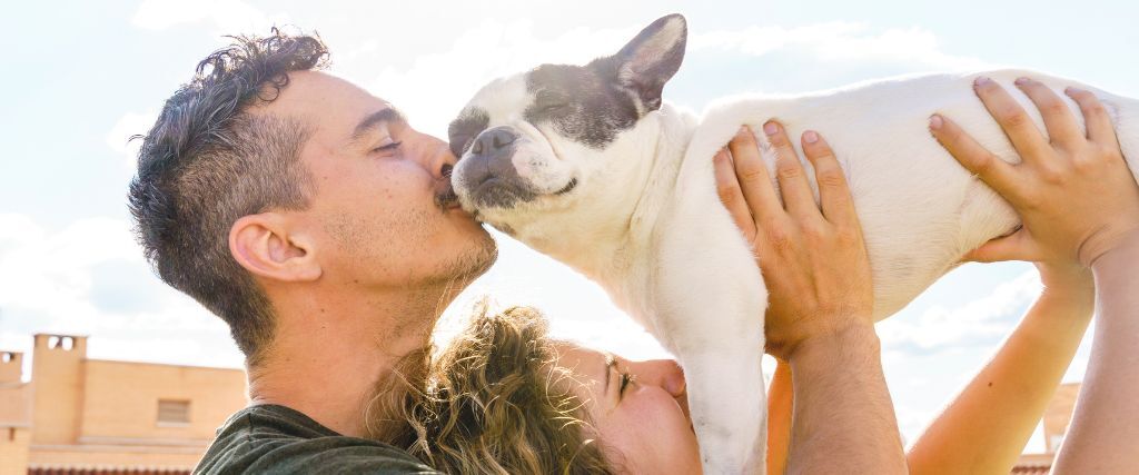 9 Health Tips Every Dog Owner Should Know on National Dog Day