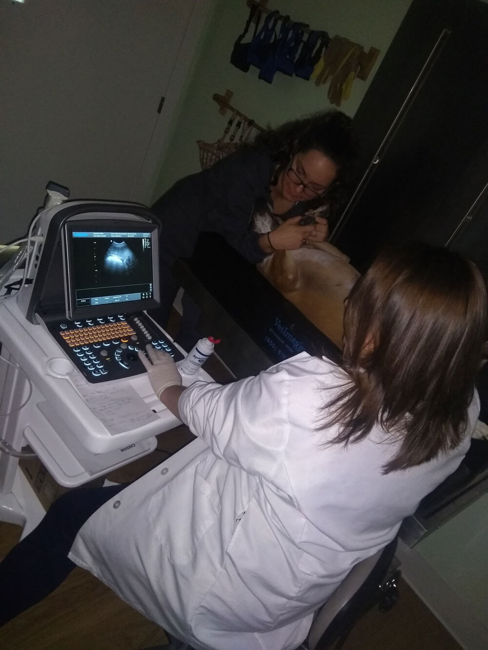 ultrasound